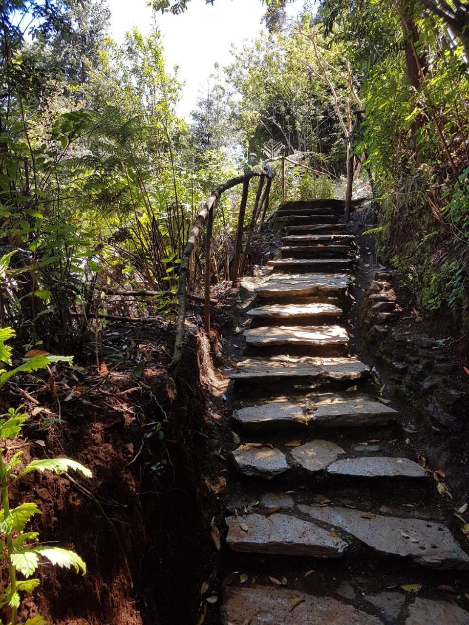 דירות וולדיביה La Rueda Del Chucao מראה חיצוני תמונה